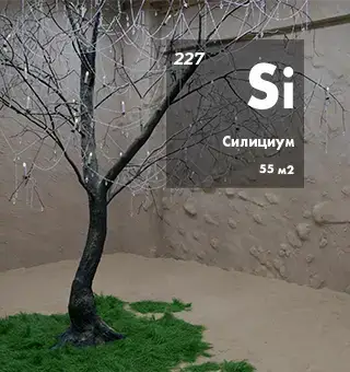 Силициум
