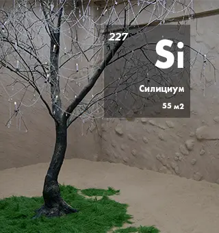 Силициум
