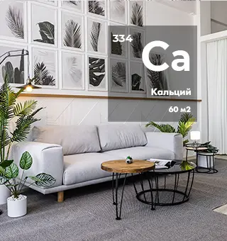 Схема зала Кальций